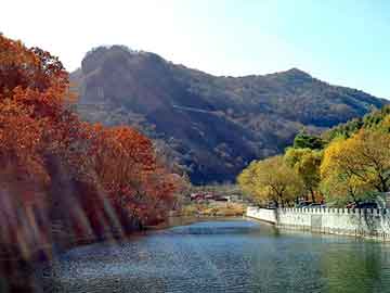 新澳天天开奖资料大全旅游团，豪门长媳太迷人